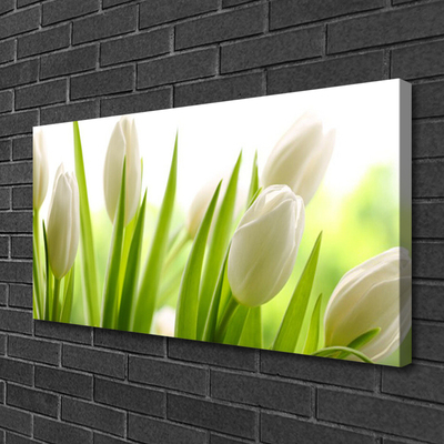Quadro canvas Tulipas Flores