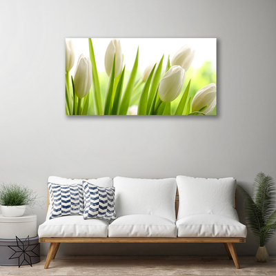 Quadro canvas Tulipas Flores