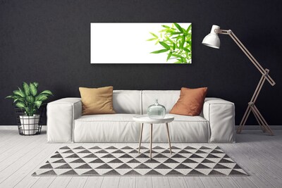 Quadro em tela Folhas Natureza Planta