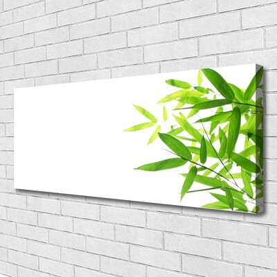 Quadro em tela Folhas Natureza Planta
