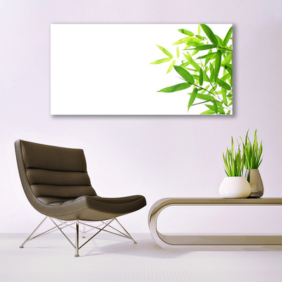 Quadro em tela Folhas Natureza Planta