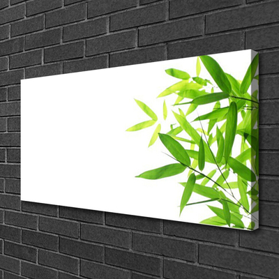 Quadro em tela Folhas Natureza Planta