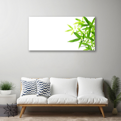 Quadro em tela Folhas Natureza Planta