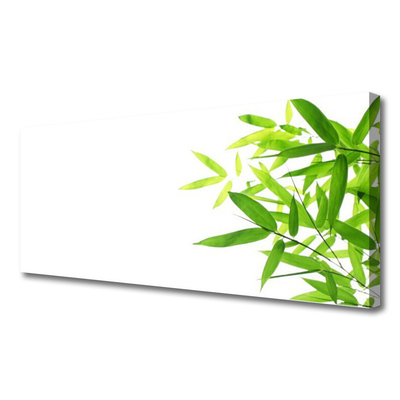 Quadro em tela Folhas Natureza Planta