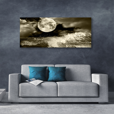 Quadro em tela Paisagem noturna da lua