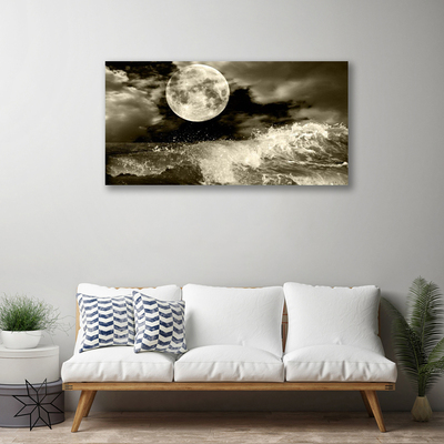 Quadro em tela Paisagem noturna da lua