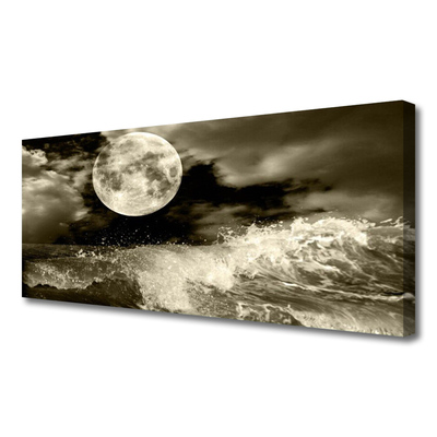 Quadro em tela Paisagem noturna da lua
