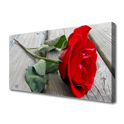 Quadro canvas Flores de rosas
