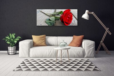 Quadro canvas Flores de rosas