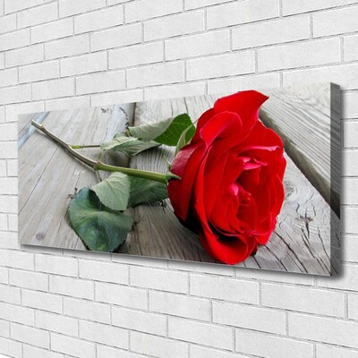 Quadro canvas Flores de rosas