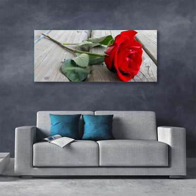 Quadro canvas Flores de rosas