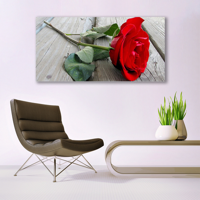 Quadro canvas Flores de rosas