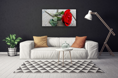 Quadro canvas Flores de rosas