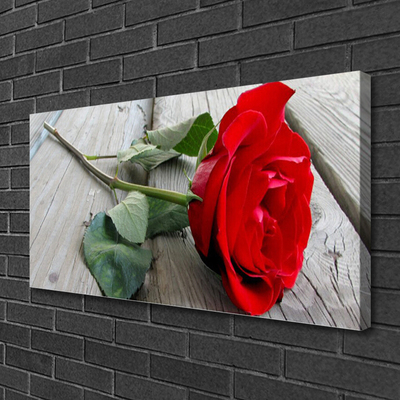 Quadro canvas Flores de rosas