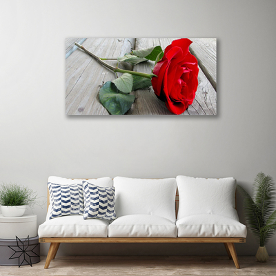 Quadro canvas Flores de rosas