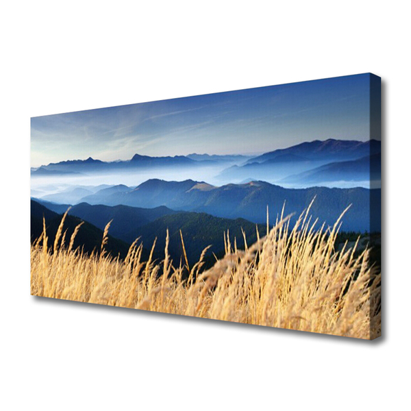 Quadro canvas Paisagem de campo