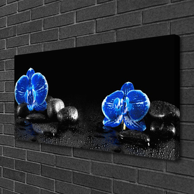 Quadro em tela Planta de pedras de flores