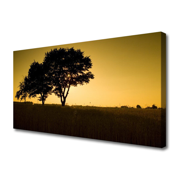 Quadro canvas Árvores Natureza Planta