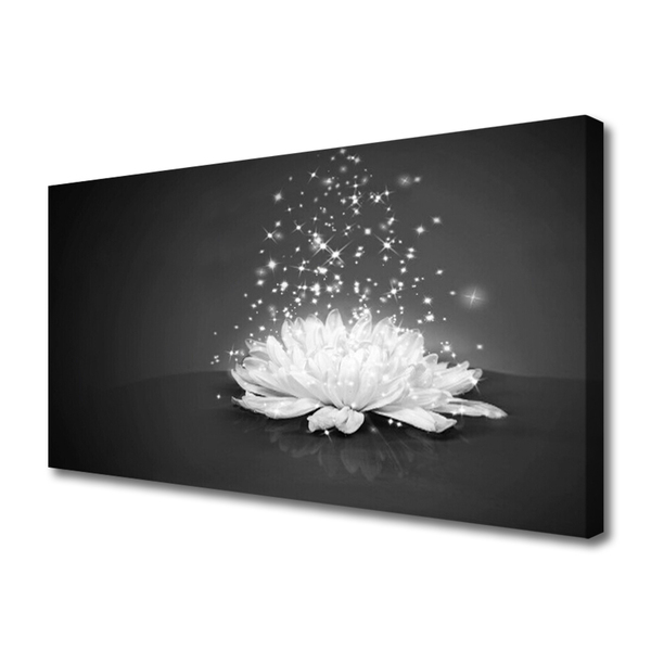 Quadro canvas Flor Planta Natureza