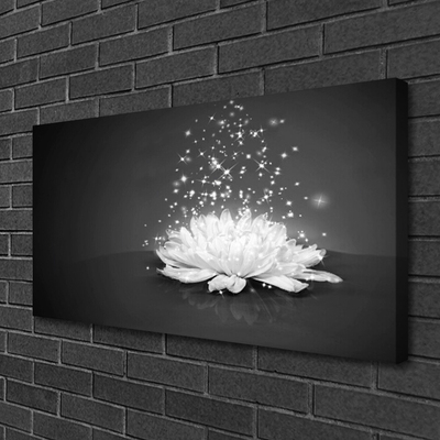 Quadro canvas Flor Planta Natureza