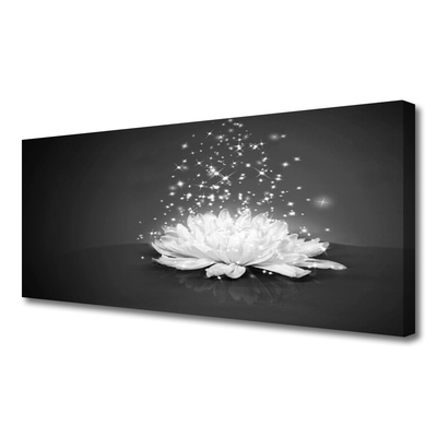 Quadro canvas Flor Planta Natureza