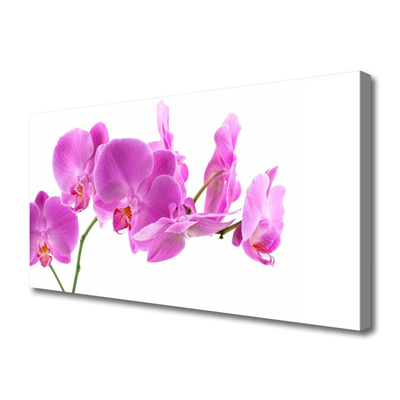 Quadro em tela Flores Planta Natureza