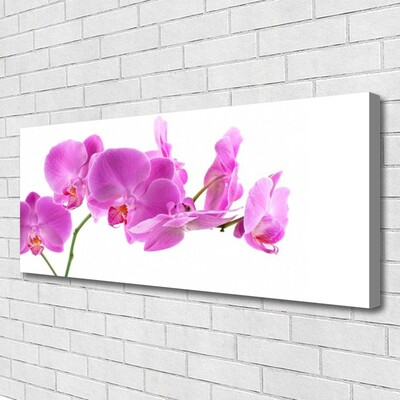 Quadro em tela Flores Planta Natureza
