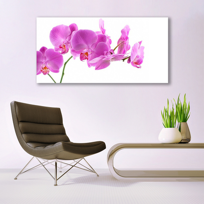 Quadro em tela Flores Planta Natureza