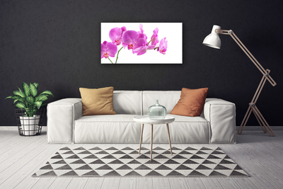 Quadro em tela Flores Planta Natureza