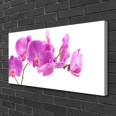 Quadro em tela Flores Planta Natureza