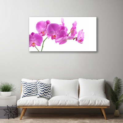 Quadro em tela Flores Planta Natureza