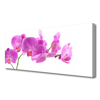 Quadro em tela Flores Planta Natureza