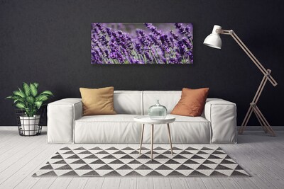 Quadro em tela Flores Planta Natureza