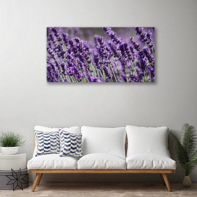 Quadro em tela Flores Planta Natureza