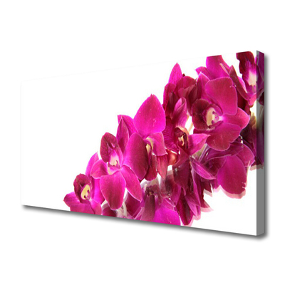 Quadro canvas Flores Planta Natureza