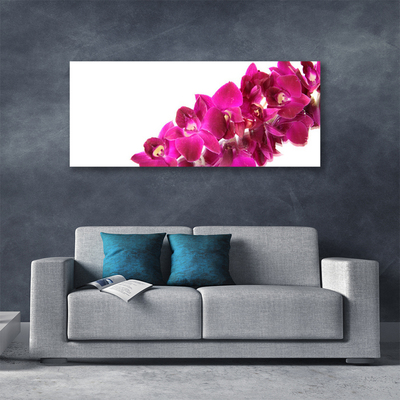 Quadro canvas Flores Planta Natureza