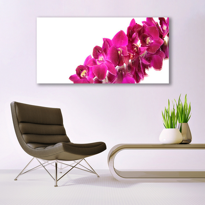 Quadro canvas Flores Planta Natureza