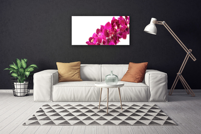 Quadro canvas Flores Planta Natureza
