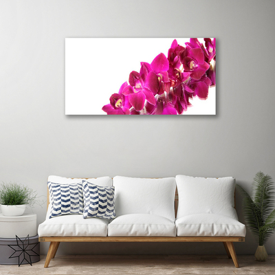 Quadro canvas Flores Planta Natureza