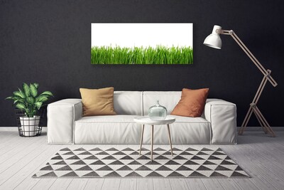 Quadro canvas Grama Natureza Planta
