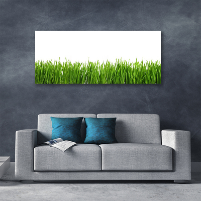 Quadro canvas Grama Natureza Planta