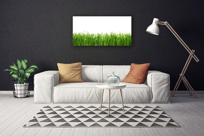 Quadro canvas Grama Natureza Planta