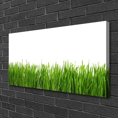 Quadro canvas Grama Natureza Planta