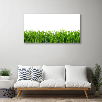 Quadro canvas Grama Natureza Planta