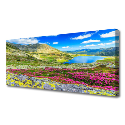 Quadro canvas Natureza do prado da baía da montanha