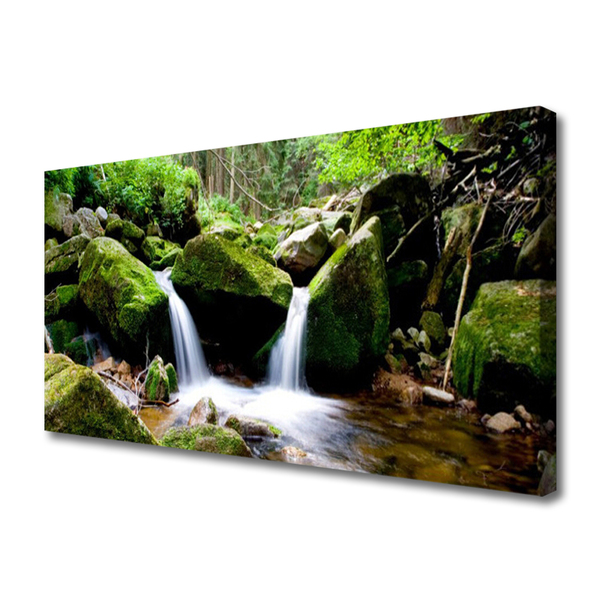 Quadro em tela Cachoeira Rochas Natureza