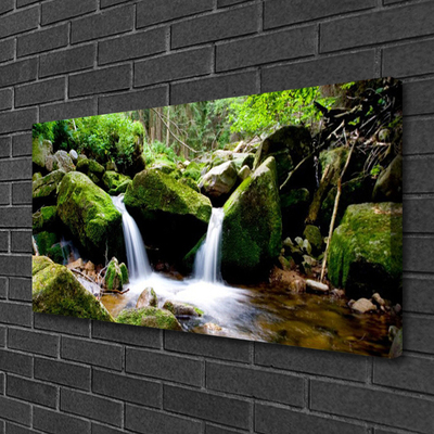 Quadro em tela Cachoeira Rochas Natureza