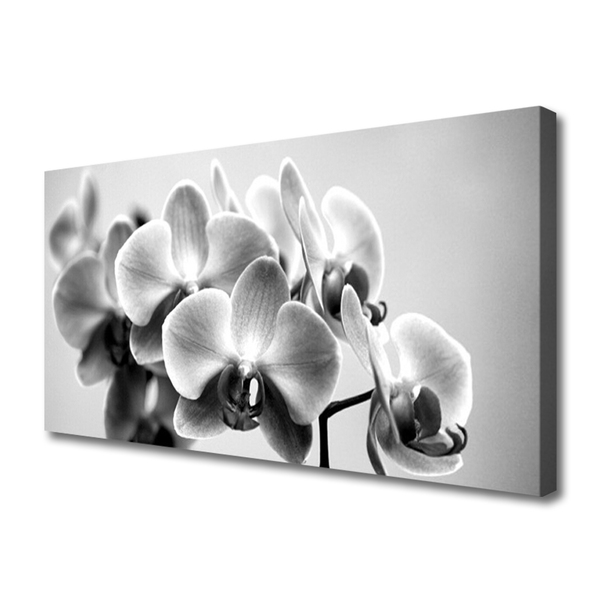 Quadro canvas Flores Planta Natureza