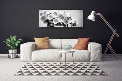 Quadro canvas Flores Planta Natureza