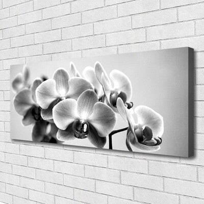 Quadro canvas Flores Planta Natureza